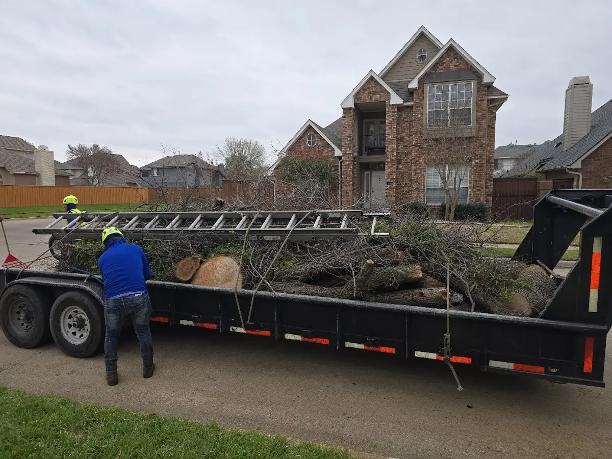 Expert Tree Pest Control with proper safety equipment in Fair Oaks